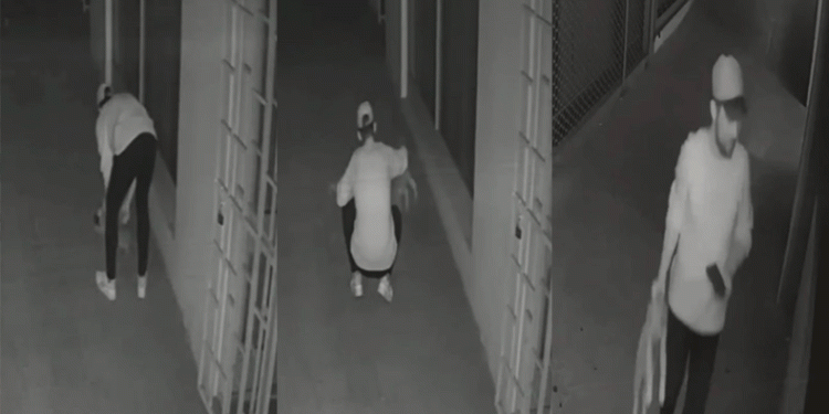 Yavru köpeğin canına kıyan sanık yargılanıyor