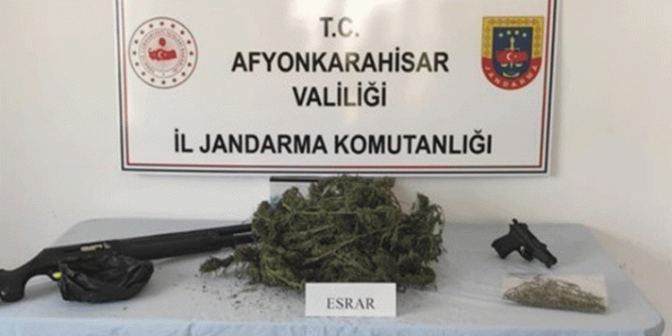 Jandarmadan uyuşturucu operasyonu