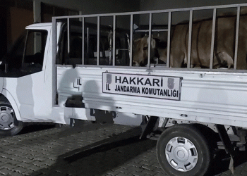 Hakkari’de 49 şüpheliye işlem yapıldı