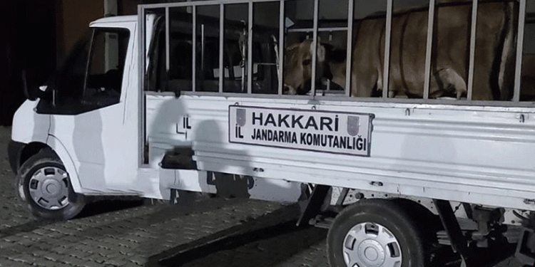 Hakkari’de 49 şüpheliye işlem yapıldı