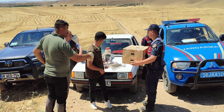 Kuş sevdasına otomobillerinden oldular