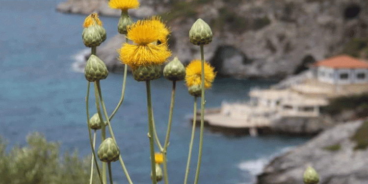 Kuşadası yeni bir turizm rotası kazandı