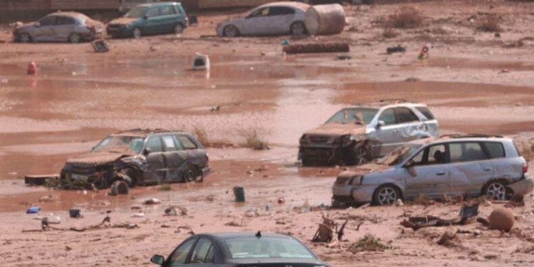 “Can kaybı 20 bini bulabilir”