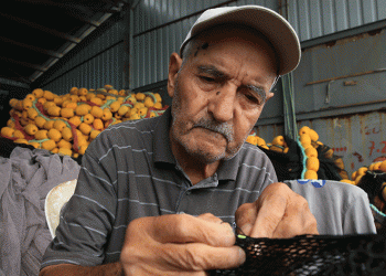 Denize açılmasalarda limandan ayrılmıyorlar