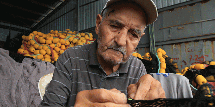 Denize açılmasalarda limandan ayrılmıyorlar