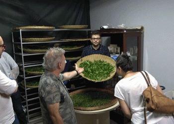 Rize çayı dünyaya tanıtılıyor