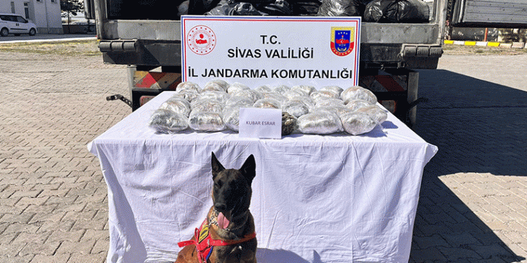 Kayısı kolisinden kilolarca uyuşturucu çıktı