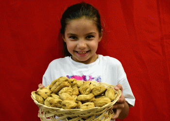 En iyi incir yetiştiricisi seçildi