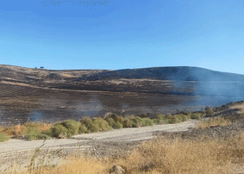 Bayatta korkutan anız yangını