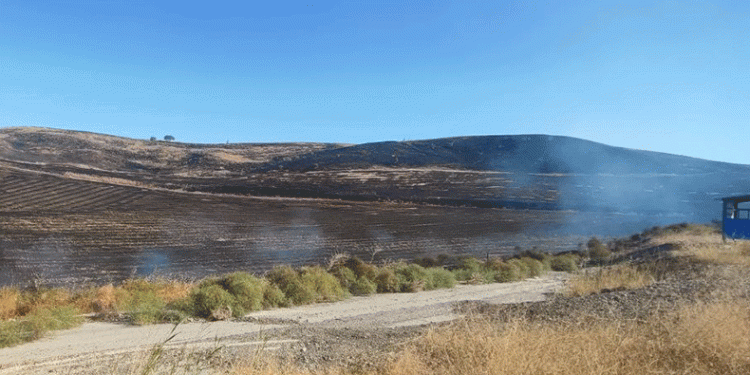 Bayatta korkutan anız yangını