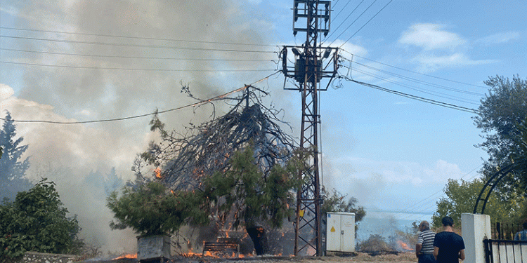 Trafo patladı, ağaçlar ve otluk alan alev aldı