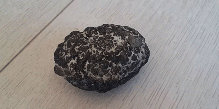 Muhtar bulduğu taşın incelenmesini istiyor