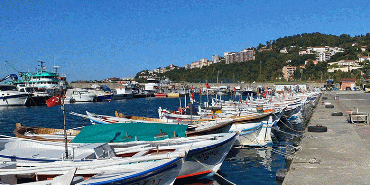 Balık fiyatlarında düşüş bekleniyor