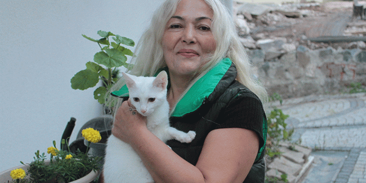19 yıldır yüzlerce kedinin annesi