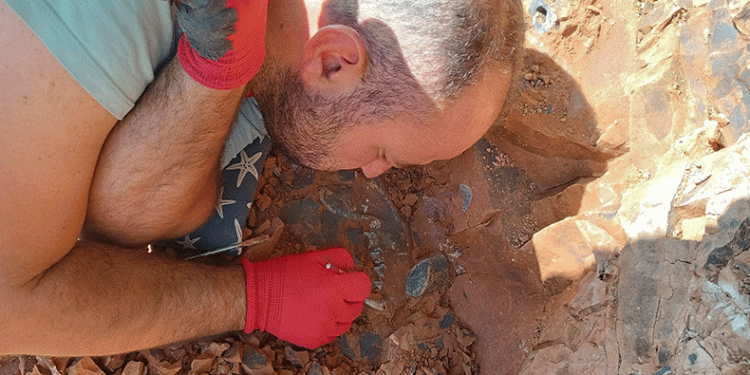 Milyonlarca yıl öncesinden fosiller bulundu