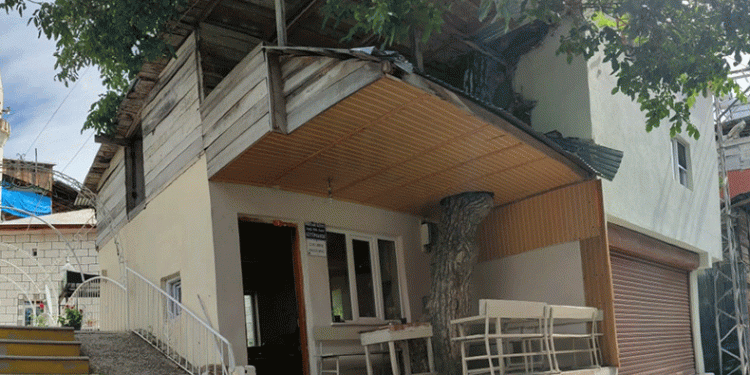 Bu kütüphanenin içinde ağaç var