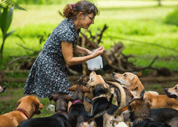 ‘4 Ekim Hayvanları Koruma Günü’