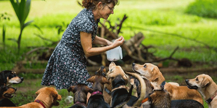 ‘4 Ekim Hayvanları Koruma Günü’