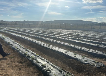 Hükümlülere üretim desteği