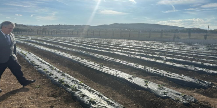 Hükümlülere üretim desteği