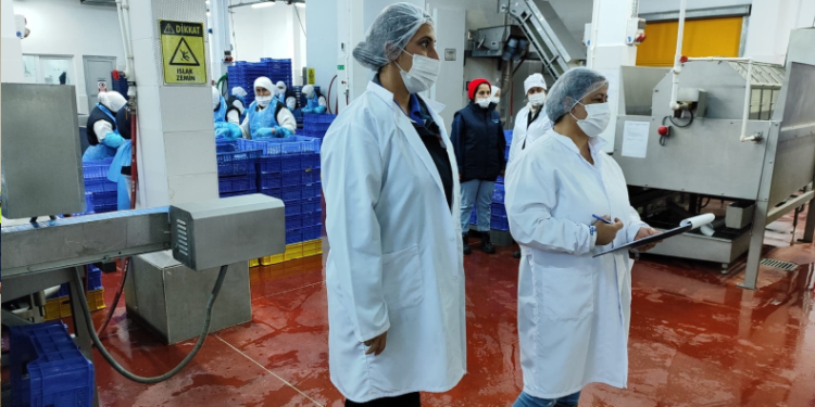 Su Ürünleri denetimleri sürüyor