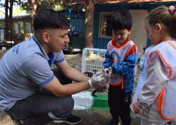 Yıldırım’da sokak hayvanları emin ellerde