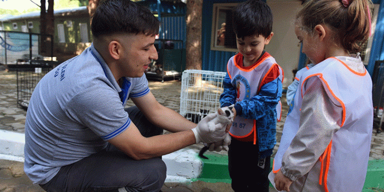 Yıldırım’da sokak hayvanları emin ellerde