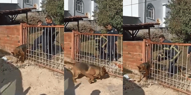 Kapıya sıkışan köpeği itfaiye kurtardı