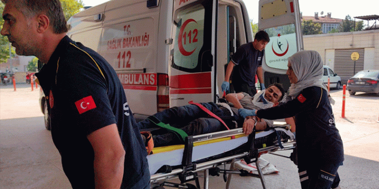 Bursa’da şoförün üzerine tomruk düştü