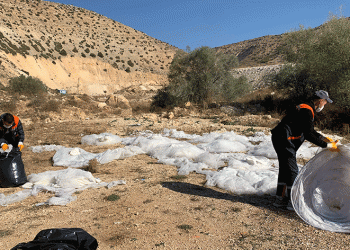 O gelinlikler, geri dönüşüme kazandırılacak