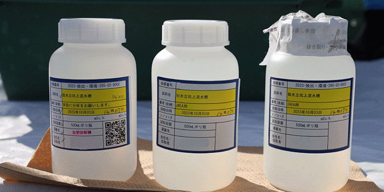 Fukuşima nükleer santralinde çalışma başladı