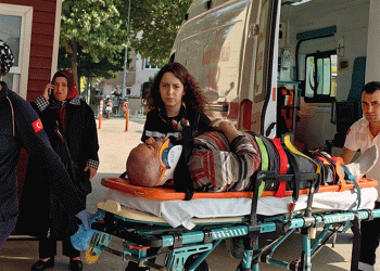 Yaşlı adam incir ağacından düştü