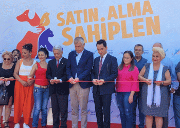 Sokak hayvanlarına ‘Kısırlaştırma Merkezi’ açıldı