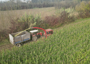 Tarım akademisinde hasat zamanı