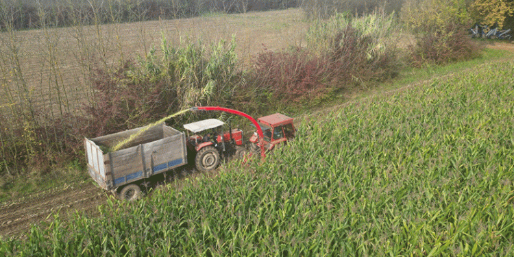 Tarım akademisinde hasat zamanı