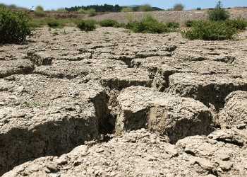 Şiddetli kuraklık alarmı