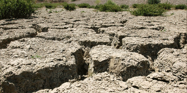 Şiddetli kuraklık alarmı
