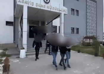 Van’da 2 cinayet şüphelisi tutuklandı