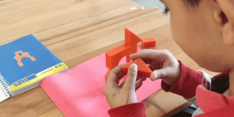 Elazığ’da akıl ve zeka oyunları kursu