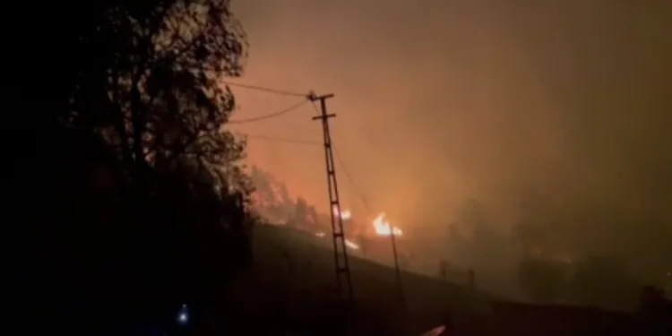 Trabzon’da şiddetli fırtına yangınlara neden oldu