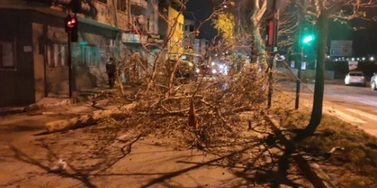 Bursa’da ağaç devrildi yol trafiğe kapandı