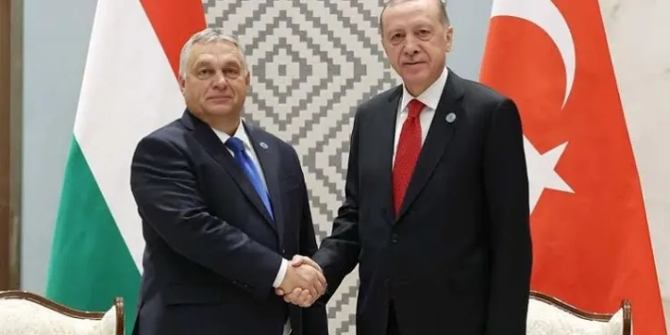 Erdoğan: “Gazze’de İsrail vahşetinin sona ermesi için çaba harcıyoruz’