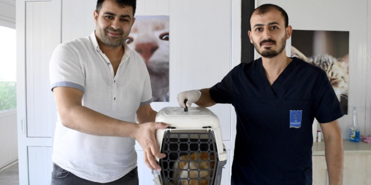 Kuşadası’nda patili dostlar emin ellerde