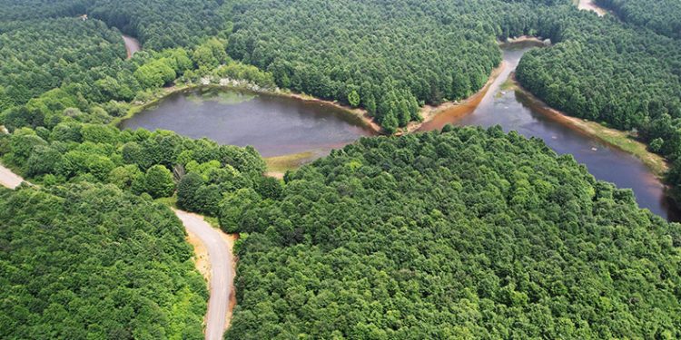 Yalova’nın yeni rotası: Doğa turizmi