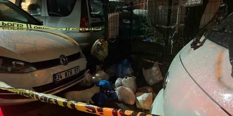 Sarıyer’de çöp konteynerinde yeni doğmuş bebek bulundu