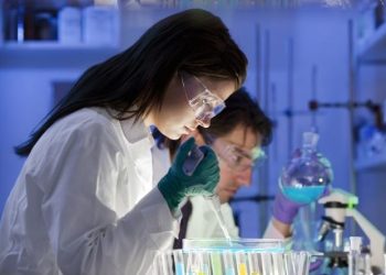 Bursa’da bir ilke imza atıldı! Genetik alt yapı analiz ediliyor…