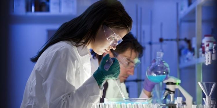 Bursa’da bir ilke imza atıldı! Genetik alt yapı analiz ediliyor…