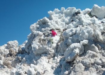 Posof’ta karla mücadele çalışmaları sürüyor