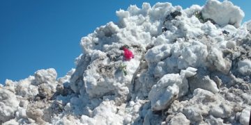 Posof’ta karla mücadele çalışmaları sürüyor