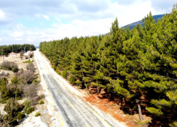 Bu yıl kar yüzü görmedi